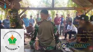 Kangkangi Undang-undang Kehutanan, Kebun Sawit PTPN IV Regional III (PTPN 5) Berada di Kawasan Hutan Konservasi Menjadi Polemik Masyarakat Batu Gajah